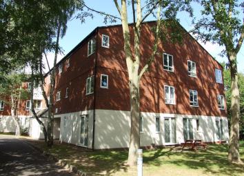 Studio To Rent in Bracknell