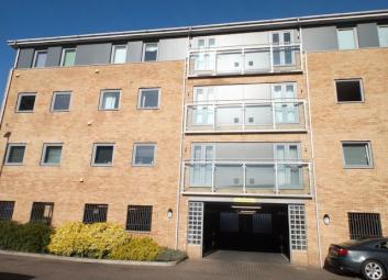 Studio To Rent in Colchester