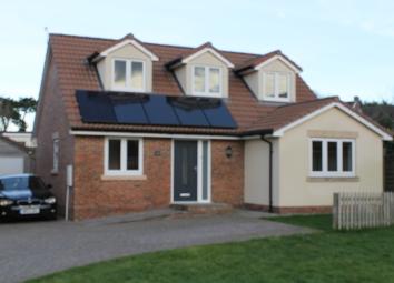 Detached bungalow To Rent in Bristol