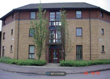 Flat To Rent in Alexandria