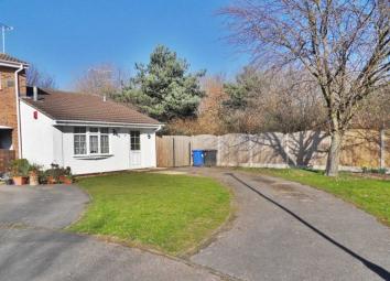 Semi-detached bungalow To Rent in Derby