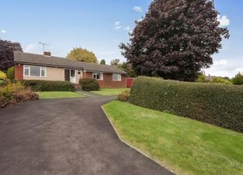 Detached bungalow To Rent in Sheffield