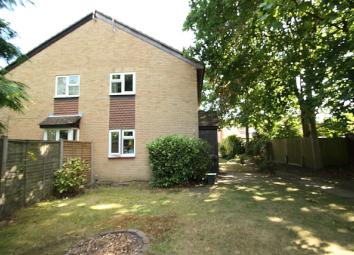 Terraced house To Rent in Woking