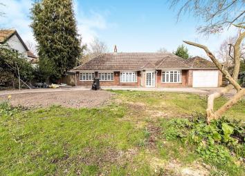Detached house To Rent in Longfield
