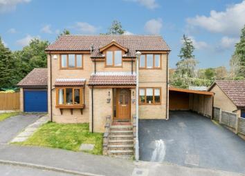 5 Bedroom Property to rent