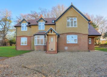Property To Rent in St.albans