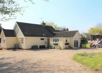 Detached bungalow For Sale in Taunton