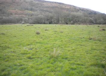 Land For Sale in 