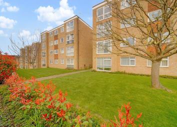 Flat For Sale in Sutton