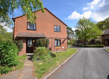 Property To Rent in Basingstoke