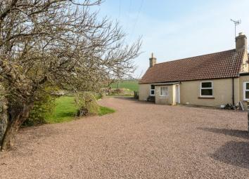 Semi-detached house To Rent in Haddington