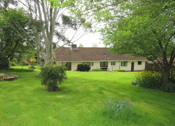 Detached bungalow For Sale in Taunton