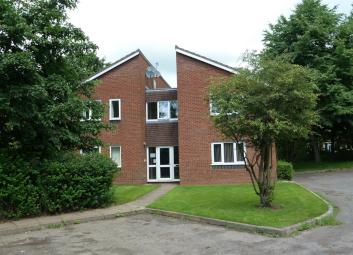 Studio To Rent in Sutton Coldfield