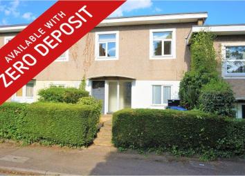 Terraced house To Rent in Hatfield