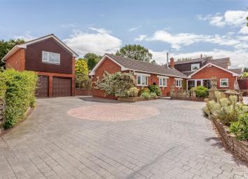 5 Bedroom Equestrian property for sale