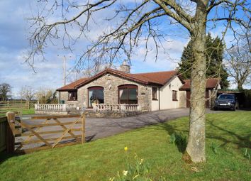 Detached bungalow For Sale in Bristol