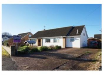 Detached bungalow To Rent in Taunton