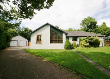 Detached house To Rent in Glasgow