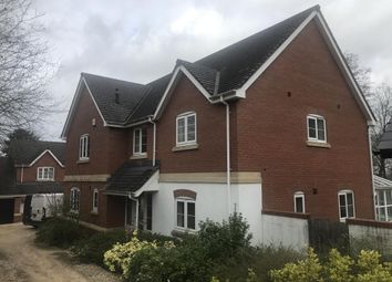Detached house To Rent in Hereford