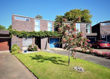 3 Bedroom Property to rent